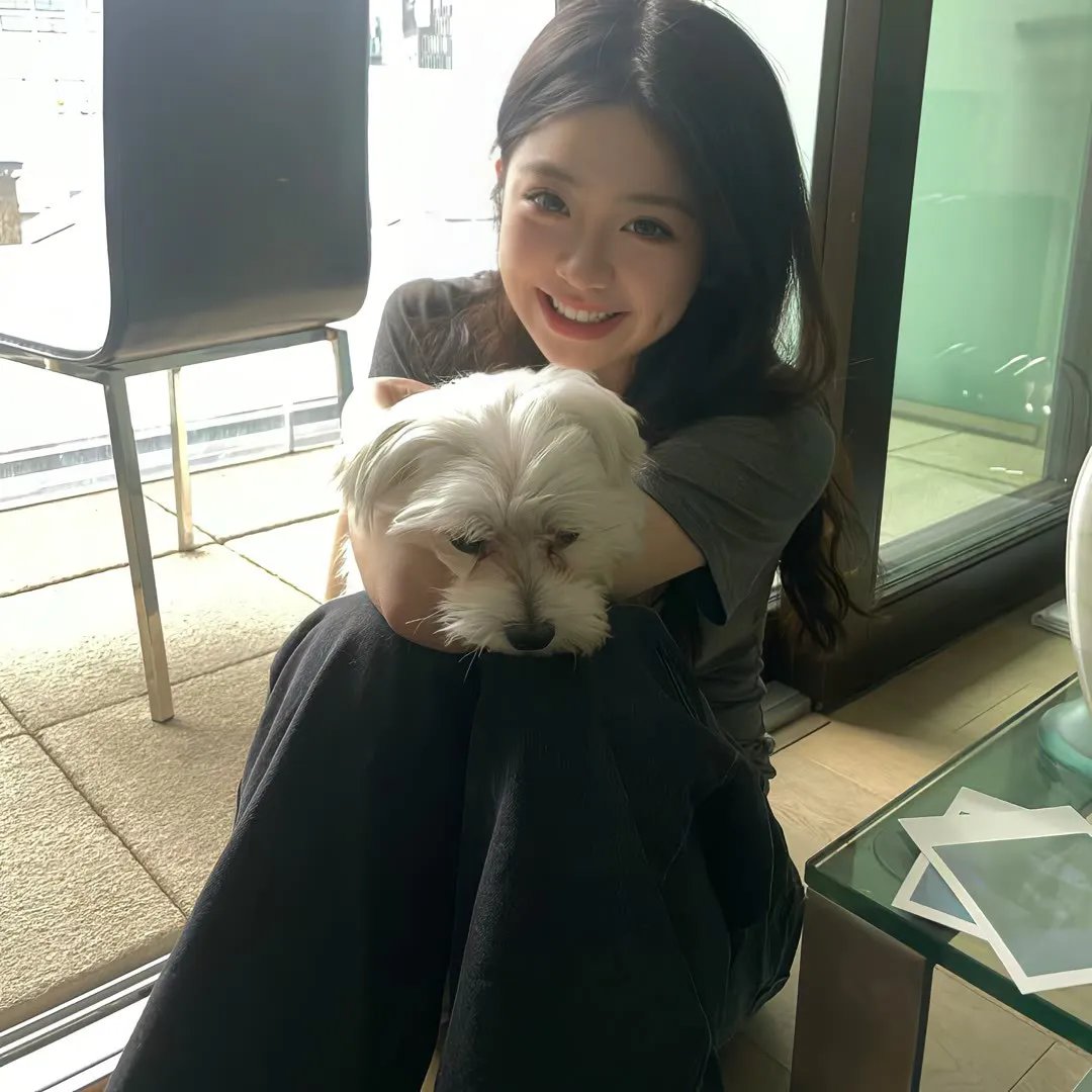 宋秘书又辞职了