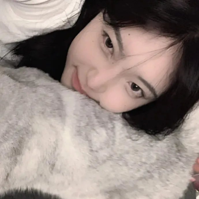 少女前线 人形小剧场第二季 国语版